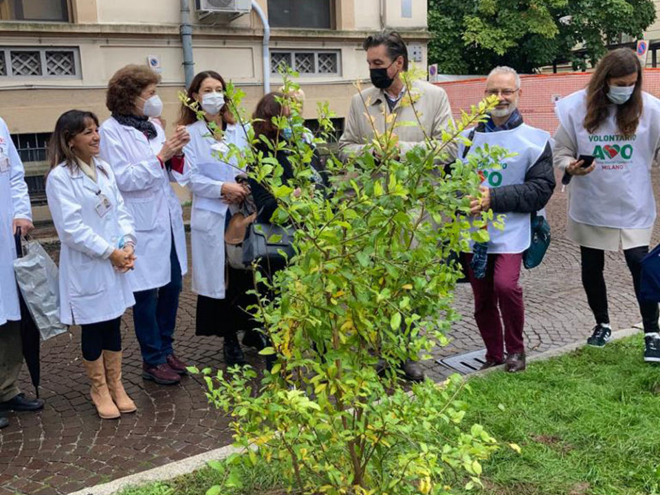 Melograno al Policlinico per AVO